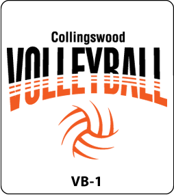 Volleyball Designs