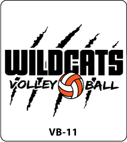 Volleyball Designs