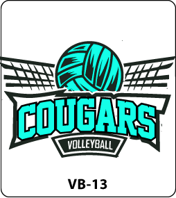 Volleyball Designs