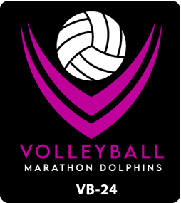 Volleyball Designs