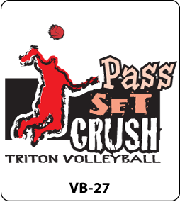 Volleyball Designs