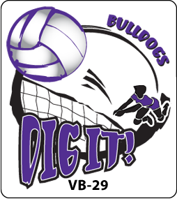 Volleyball Designs