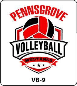 Volleyball Designs